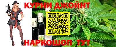 сатива Краснокаменск