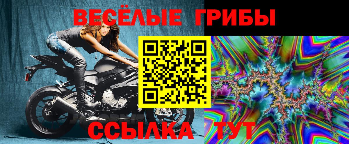 Псилоцибиновые грибы GOLDEN TEACHER  Псилоцибиновые грибы Psilocybe  Камышин  Вход с VPN 