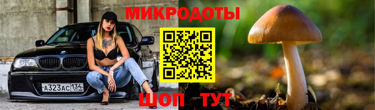 Галлюциногенные грибы Magic Shrooms Камышин